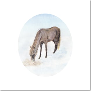 Winter Horse Posters and Art